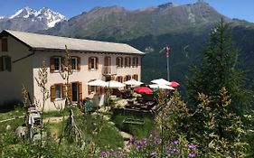 Edelweiss Zermatt - Mountain Hotel